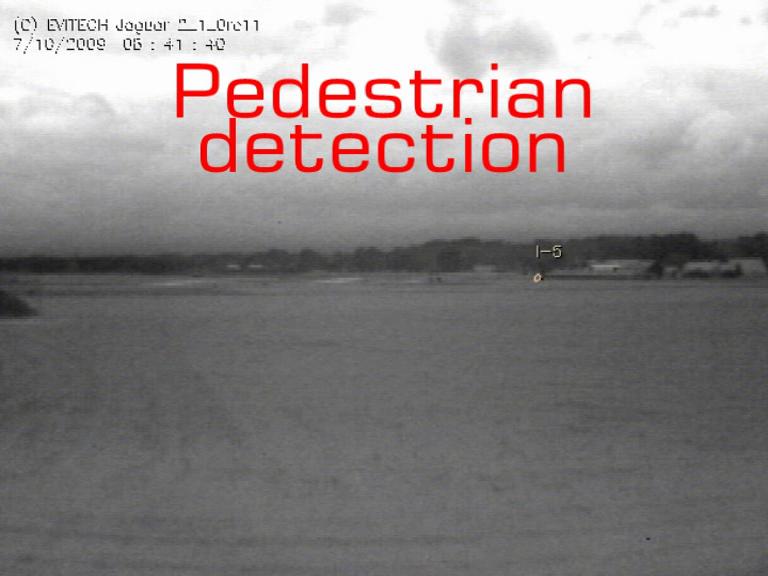 pedestrian image Pedestrian